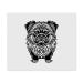 2 x Microfiber Cleaning Cloths "Pekinese Dog" (LC00024552)