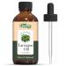 Organic Zing Tarragon (Artemisia Dracunculus) Oil | Pure & Natural Essential Oil for Aroma Diffusers Skincare & Haircare - 30ml/1.01fl oz
