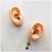 Simulation Ear Template - Flexible Silicone Silicone Ear Model for Acupuncture Picking Ear Picking Soft Props Earrings Right