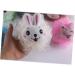 Angoily 5pcs Luffa Sponges - Exfoliating Body Scrubber Puff for Bath & Shower | Loofah Massage Ball Pouf - Buy Online on SooperMarket.com