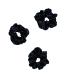 Gimme Beauty - Satin-Soft Hair Scrunchies for Sleep - Seamless Plush Band Inside for All Night Comfort - Overnight Hair Accessories - Secure but Gentle Satin Scrunchies - Black (3 Countt)