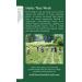 Organic Lemon Balm Herbal Tea - Caffeine Free, 16 Wrapped Bags | Traditional Medicinals - Buy Online on SooperMarket.com