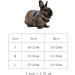 Rabbit Harness Multipurpose Adjustable Soft Pet Rabbit Walking Harness Leash Lead Gentlemanly Style Bunny Vest for Small Animal (M) - Buy Online on SooperMarket.com