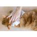 Zipy Dog Wipes - 350 Natural Deodorizing Care Cloths for Cats & Dogs | Fragrance-Free Moisture Towels for Paws Ears & Body - Buy Online on SooperMarket.com
