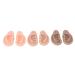 Ear Model Reusable Simulated Ear Model Silicone Flexible 3 Pairs for Home