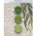 SSF Organic Comfrey Salve - Large 4oz Container for Wounds, Rashes, Skin Conditions, Arthritis, Blisters, Sores, Post Surgery - Buy Online on SooperMarket.com