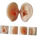 Silicone Ear Models for Practice - 1 Pair Ear Picking & Display Samples - Buy Online on SooperMarket.com