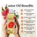 Aroma Magic Castor Oil for Hair Growth Skin & Eyelashes | Pure Natural Carrier Oil | 3.38 Fl Oz - Moisturizing Aromatherapy Massage Oil - Buy Online on SooperMarket.com
