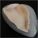 Crystal Rough Quality Natural Agate Geode White Cluster Charming Quartz Crystal Ornament Gift for Home Decoration - Buy Online on SooperMarket.com