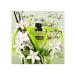 Valentino Donna Born In Roma Green Stravaganza for Women - 1.7 oz EDP Spray Floral & Fresh Fragrance - Buy Online on SooperMarket.com