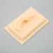 Silicone Ear Model Vivid Shape Durable Wearable Comfortable Soft Human Ear Model Glossy Texture Safe Practical for Teaching Demonstration(Left) - Buy Online on SooperMarket.com