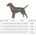 BPS Adjustable Dog Harness for Small & Medium Dogs | 4 Sizes Available | Durable & Comfortable - Buy Online on SooperMarket.com