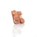 MDF Instruments Pediatric and Neonatal Attachments with Clip - for MDF Instruments ProCardial Titanium Stethoscope - Rose Gold