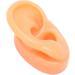 Acupuncture Ear Model - Multi-Purpose Soft & Reusable Fake Ear for Practical Training (Right) - Buy Online on SooperMarket.com