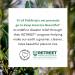 Buy Fieldtrip Wandermist Hydrating Facial Spray with Rambutan - 3 fl oz | International Shipping Available - Buy Online on SooperMarket.com