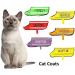 Dexil Colour Coded Cat Harness Warning Alert Vest Padded and Water Resistant Red CAUTION (S-M) Small-Medium Red CAUTION - Buy Online on SooperMarket.com