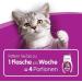Whiskas Cat Milk 3 x 200ml - Buy Online on SooperMarket.com