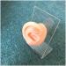 Flexible Silicone Ear Model - Ear Simulation Template with Acupuncture Details Practice Choose Studs Earring Display Accessories Left - Buy Online on SooperMarket.com