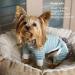 KYEESE Dog Pajamas 4 Legs Jumpsuit, Hair Shedding Cover, Summer Medium - Green Stripe | Pack of 1 - Buy Online on SooperMarket.com