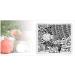 Christmas Theme Nail Art Stamping Plate - DIY Manicure Print Tool - Buy Online on SooperMarket.com