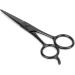 Stainless Steel Hair Cutting Shears Hair Scissors Nose Ears Mustache Eyebrows Hairdressing Haircut Trimming Tool Stainless Steel Haircut Women/Men/Kids - Buy Online on SooperMarket.com