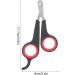 Bird Nail Trimmers Pet Bird Parrot Small Animals Accessory Grooming Tool Nail Scissors Clipper for Small Breeds Puppies Rabbits Cat - Buy Online on SooperMarket.com
