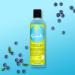 Curls Blueberry Bliss Control Jelly 8oz - Define & Defrizz for Wash & Go's, Twist Outs, Braid Outs, Roller Sets - All Hair Types - Buy Online on SooperMarket.com