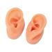 Soft Artificial Ear Display Model for Hospitals - Anatomically Accurate Simulation - Buy Online on SooperMarket.com