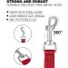 Loutep 5M Dog Training Lead - Durable Nylon Long Line Leash with Padded Handle & Heavy-Duty Swivel Hook - Perfect for Obedience & Outdoor Use - Buy Online on SooperMarket.com
