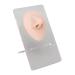3-Part Silicone Nose Model for Piercing Practice | Soft 3D Display with Acrylic Stand - Buy Online on SooperMarket.com