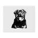 2 x Rottweiler microfiber glasses cloths (LC00024026)
