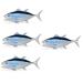 Alipis 4pcs Simulated Tuna Models Decor Toys Miniatures Figurines Sea Animals Figurines Marine Aniumal Figurine Fish Crafts Fish Ornament Fish Model Pvc Fish Shape Small Fish Child As Shownx4pcs 6.8X8X17CMx4pcs