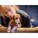 RC Pet Products PAWks Dog Socks - Small Paw Protection (1 Pair) - Buy Online on SooperMarket.com