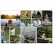 20pcs Baitholder Fishing Hook Rigs with Nylon Coated Wire Leader and Swivel 6.5inch - Buy Online on SooperMarket.com