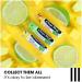 ChapStick Lip Balm 3 Count - Moisturizing Lip Care (Pack of 1) - Buy Online on SooperMarket.com