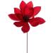 Vickerman 705308-22" Black Velvet Sheen Glitter Trim Poinsettia Spray (4 Pack) (RG223317) - Buy Online on SooperMarket.com
