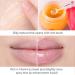 SWETIYOU Lip Plumper Set - Bee Balm & Honey Pot Gloss for Moisturizing, Hydrating & Exfoliating Lips - Buy Online on SooperMarket.com