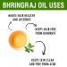 Pure Salvia Bhringraj Oil (Eclipta alba) - 100% Natural Cold Pressed Essential Oil for Aromatherapy Skin & Hair Care - Therapeutic Grade 3.38 fl oz - Buy Online on SooperMarket.com
