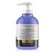 Alama Professional S.O.S Color & GO Silver Mask - Nourishing & Toning Hair Treatment for Natural & Colored Hair (300ml) - Buy Online on SooperMarket.com