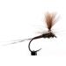 Hemingway's Synthetic Tapered Peacock Quill Set - Pack of 6 - Buy Online on SooperMarket.com