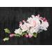Buy Cake Company Sugar Flower Bouquet - 1 Pink Rose & Medium 40mm Assorted Roses - Ideal for Cake Decorating | International Shipping - Buy Online on SooperMarket.com