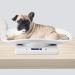 10kg/1g Digital Pet Scale with 3 Weighing Modes Pet Scale to Measure Dog Multi-Function Baby Scale for Weighing Small Pet - Buy Online on SooperMarket.com