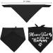Gender Reveal Pet Scarf Set for Dog Lovers - Pack of 2 - Buy Online on SooperMarket.com