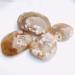 Crystal Rough 1pc raw Natural Rough Uncut Agate Quartz Crystal Gemstone for Astrology - Buy Online on SooperMarket.com