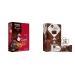 NuGo Dark Chocolate Pretzel 12g Vegan Protein 200 Calories Gluten Free 12 Count & Slim Dark Chocolate Brownie Crunch 16g Protein