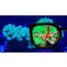 Aqua Medic Coral Glasses - Enhance Your Reef Experience | International Shipping Available - Buy Online on SooperMarket.com