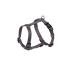 Nobby Harness Classic mouse grey Chest: 70/90 cm Width: 25 mm 1 piece grey Length 70-90 cm Width 25 mm