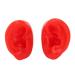 Ear Model Simulated Pair Human Ear Model Soft Slick Ear Model for Display Water Resistance Model for Point Acupuncture(Red)