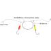 Dr.Fish 200PCs Pompano Rig Making Kit | Surf Fishing Rig Accessories | Saltwater Bottom Rig Parts with Circle Hooks, Beads, Swivels, and Snaps - Buy Online on SooperMarket.com