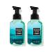 Bath & Body Works Bath and Body Works Freshwater Gentle Foaming Hand Soap 8.75 Ounce 2-Pack (Freshwater) 17.5 Ounce Freshwater 8.75 Ounce